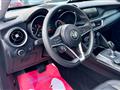 ALFA ROMEO Stelvio 2.2 T.diesel 190 CV AT8 Q4 Bus.