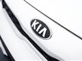 KIA PICANTO 1.0 12V 5 porte Cool #Navy #C.Lega