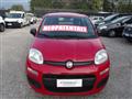 FIAT PANDA 1.2 69cv NEOPATENTATI