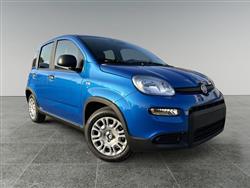 FIAT PANDA 1.0 FireFly S&S Hybrid Pandina