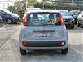 FIAT PANDA 1.0 FireFly 5 posti S&S Hybrid