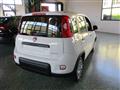 FIAT PANDA 1.0 FireFly S&S Hybrid - BLUETOOTH