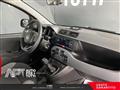 FIAT PANDA 1.0 firefly hybrid City Life s&s 70cv