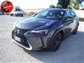 LEXUS UX 250h 2.0 Business 2wd cvt my20