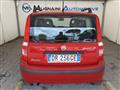 FIAT PANDA 1.2 Dynamic *UNICO PROPRIETARIO*