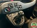 FIAT PANDA 1.2 Pop *NEOPATENTATI*