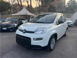 FIAT PANDA 1.0 FireFly S&S Hybrid *IVA ESPOSTA* NEOPATENTATI