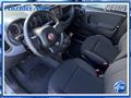 FIAT PANDA 1.0 FireFly Hybrid 70 Cv