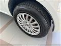 FIAT PUNTO 1.4 8V 5 porte Natural Power Street