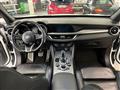 ALFA ROMEO STELVIO 2.2 Turbodiesel 210 CV AT8 Q4 Veloce