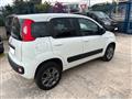 FIAT PANDA VAN 1.3 MJT 4x4 Van 2 posti