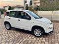 FIAT PANDA 1.0 FireFly S&S Hybrid - KM0