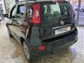 FIAT PANDA 1.3 MJT S&S 4x4 Antartica