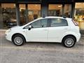 FIAT PUNTO 1.4 8V 5 porte Natural Power Young