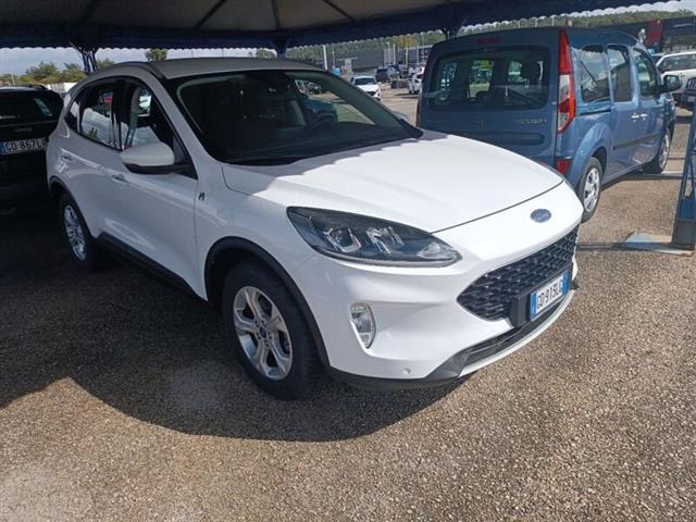 FORD KUGA 1.5 EcoBlue 120 CV 2WD Titanium Business