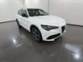 ALFA ROMEO STELVIO 2.2 TD 210CV AT8 Q4 Sprint MY23 #VARI COLORI