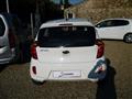 KIA PICANTO 1.0 12V 5 porte City