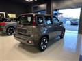 FIAT PANDA 1.0 FireFly S&S Hybrid City Cross