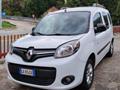 RENAULT Kangoo II Express 1.5 dci 95cv Blue Ice Plus E6d-temp Kangoo Blue dCi 95CV Express Maxi Combi Ice Plus