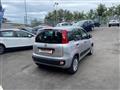 FIAT PANDA 1.3 MJT 95 CV S&S Easy