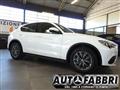 ALFA ROMEO Stelvio 2.2 T.diesel 190 CV AT8 Q4 Bus.