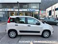 FIAT PANDA 1.2 Easy 69CV E6 OK NEOPATENTATI