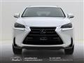 LEXUS NX Hybrid 4WD Executive Bianco perla-Navi-Sensori-ACC