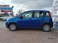 FIAT PANDA 1.0 MY24 HYBRID MANUALE OK NEOPATENTATO