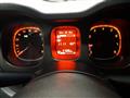 FIAT PANDA CROSS 1.0 FIREFLY S&S HYBRID 70 CV - CROSS