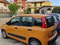 FIAT PANDA 1.0 FireFly S&S Hybrid Trussardi