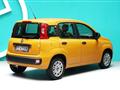 FIAT PANDA 1.2 Pop - NEOPATENTATI