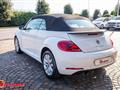 VOLKSWAGEN MAGGIOLINO Cabrio 1.2 TSI Design