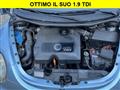 VOLKSWAGEN NEW BEETLE 1.9 TDI 105CV Cabrio