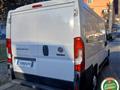 FIAT DUCATO 30 2.3 MJT 120CV PC-TN Furgone