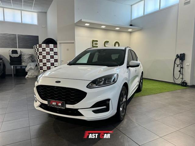 FORD KUGA 1.5 EcoBlue 120 CV 2WD ST-Line