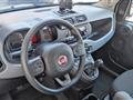 FIAT PANDA 1.0 FireFly S&S Hybrid City Life OK NEO PATENTATI