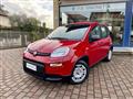 FIAT PANDA 1.0 FireFly S&S Hybrid - KM0