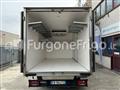 IVECO DAILY Coibentato Isotermico Frigorifero