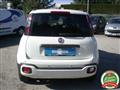 FIAT PANDA 1.0 FireFly S&S Hybrid Pandina