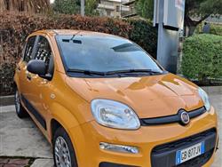 FIAT PANDA 1.0 FireFly S&S Hybrid Trussardi