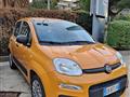 FIAT PANDA 1.0 FireFly S&S Hybrid Trussardi