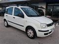 FIAT PANDA 1.2 Dynamic 69cv E5 - Per Neopat.