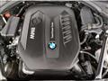 BMW Serie 7 740d xdrive Eccelsa auto