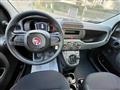 FIAT PANDA 1.0 FireFly S&S Hybrid - KM0