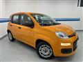 FIAT PANDA 3ª serie -  1.2 Easy