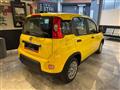 FIAT PANDA 1.0 FireFly S&S Hybrid PANDINA