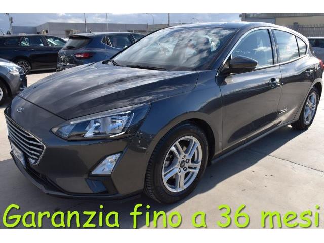 FORD FOCUS 1.5 EcoBlue 120 CV automatico 5p. Business Co-Pilo