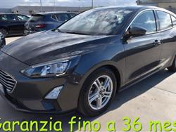 FORD FOCUS 1.5 EcoBlue 120 CV automatico 5p. Business Co-Pilo