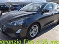 FORD FOCUS 1.5 EcoBlue 120 CV automatico 5p. Business Co-Pilo