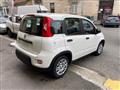 FIAT PANDA 1.0 FireFly S&S Hybrid Pandina